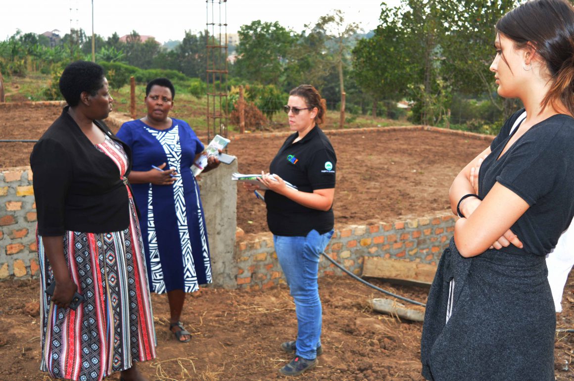 AVSI projects assessment
