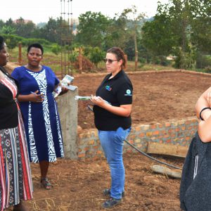 AVSI projects assessment
