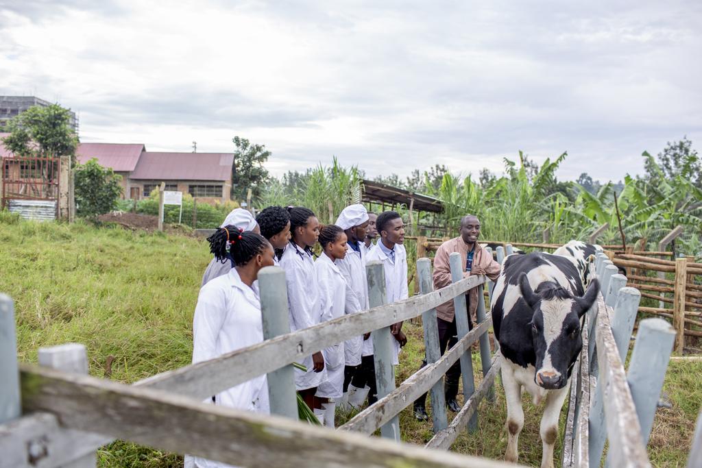 Bridging Course in Animal Health and Production