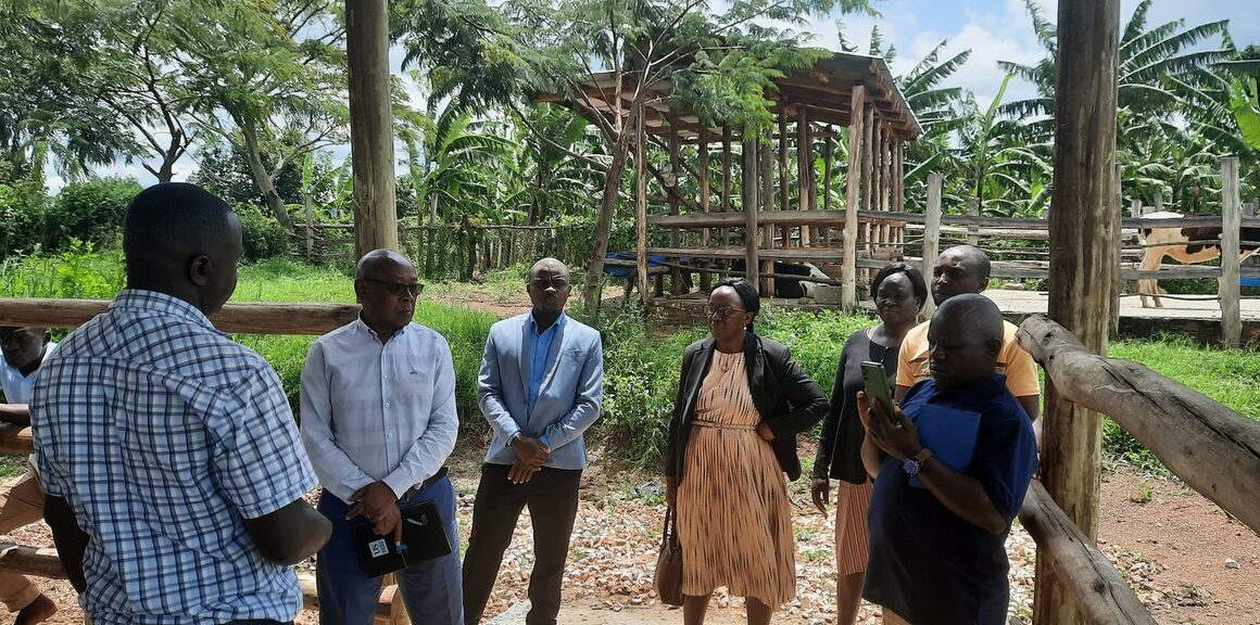 Innovate Dairy project supported by RUFORUM aims to strengthen the Dairy Value Chain enabling Visit to Kiruhura District on Innovate Dairy project supported by RUFORUM