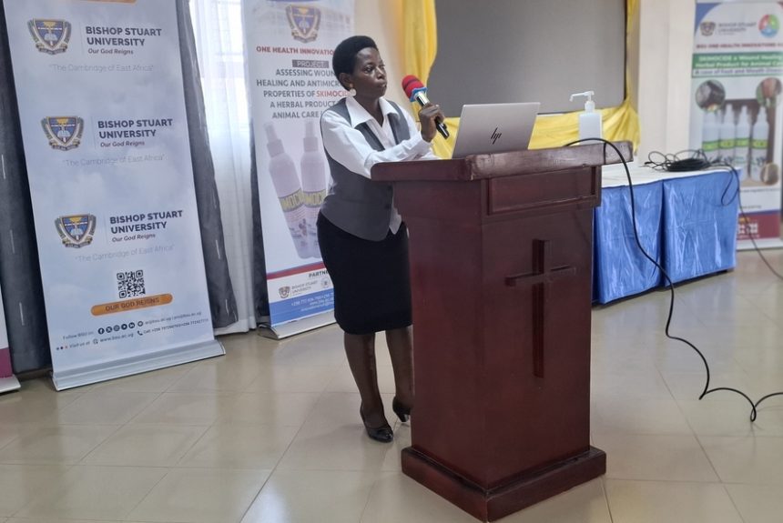 Research: BSU Launches AWASH Herbal Drug Project