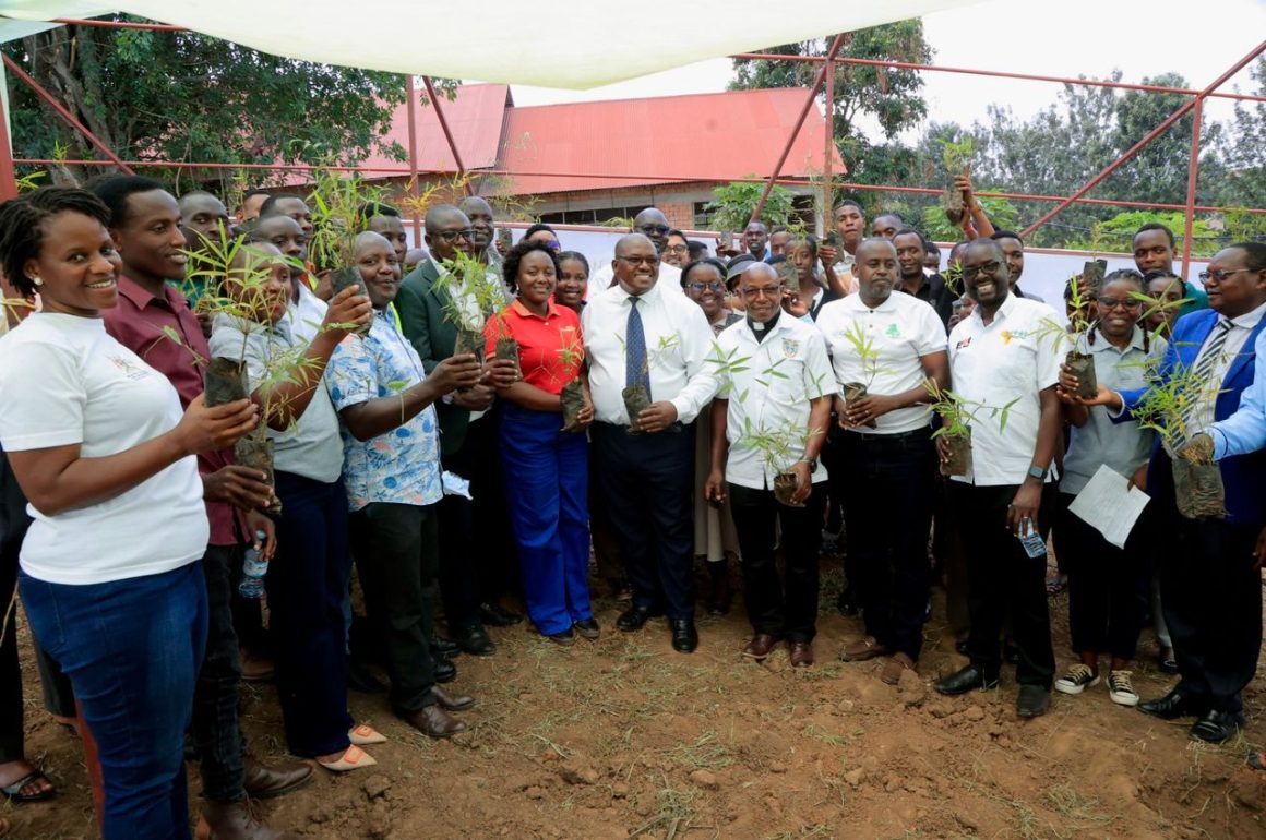 Commissioning of Tree Nursery Bed at BSU by MWE