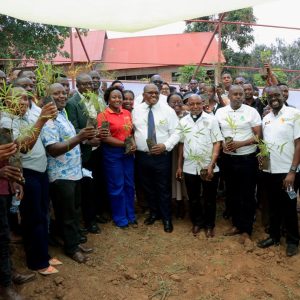 Commissioning of Tree Nursery Bed at BSU by MWE