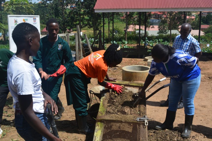 BSU Students Gain Practical Skills in Bamboo Propagation